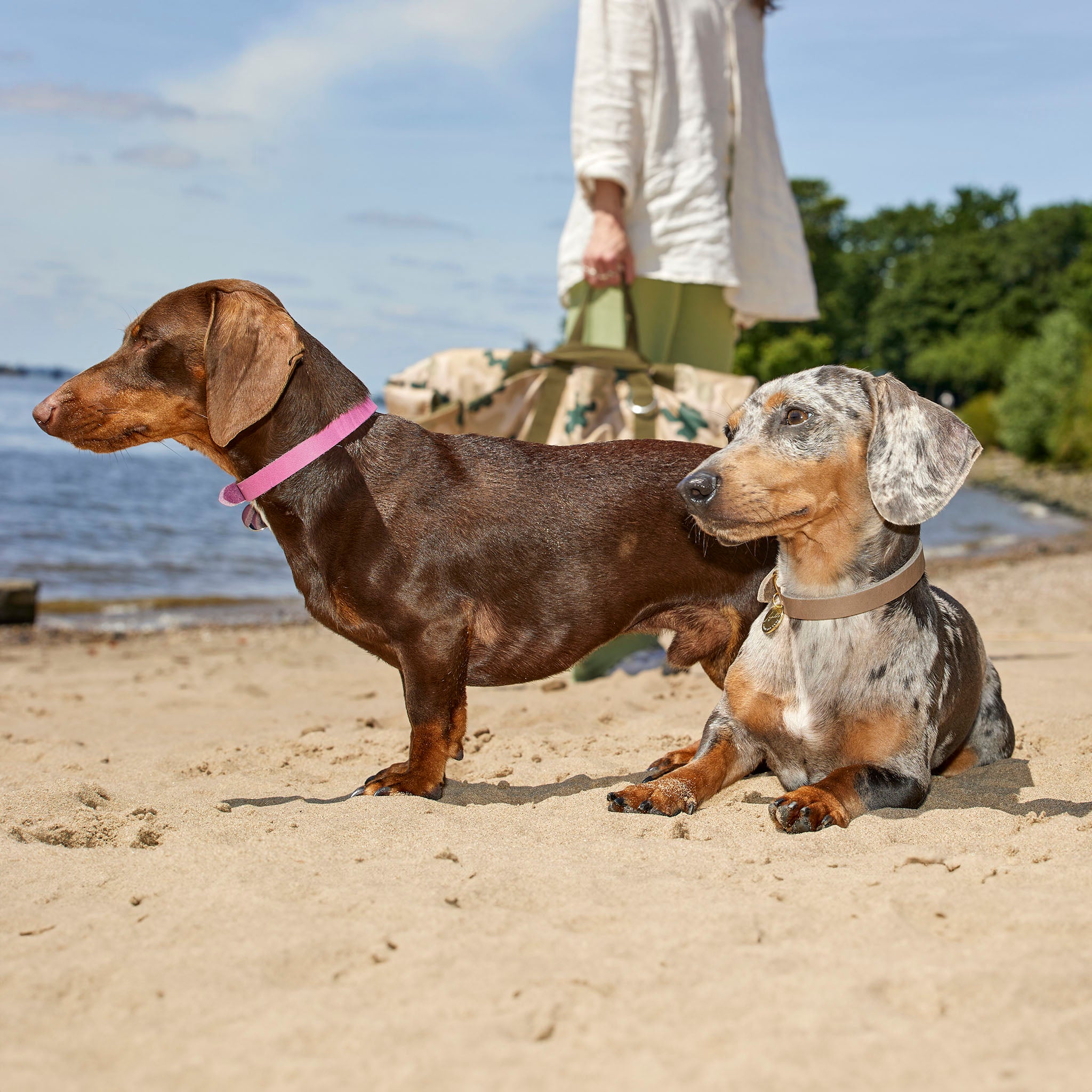 Hundestrände an der Ostsee