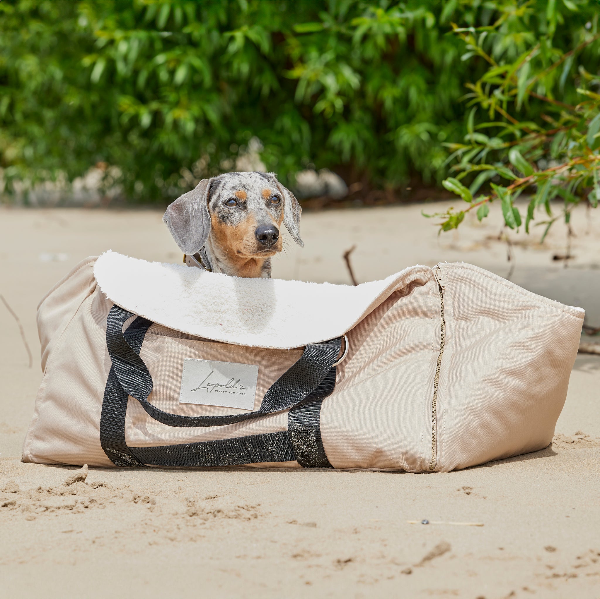 Urlaub mit Hund am Meer