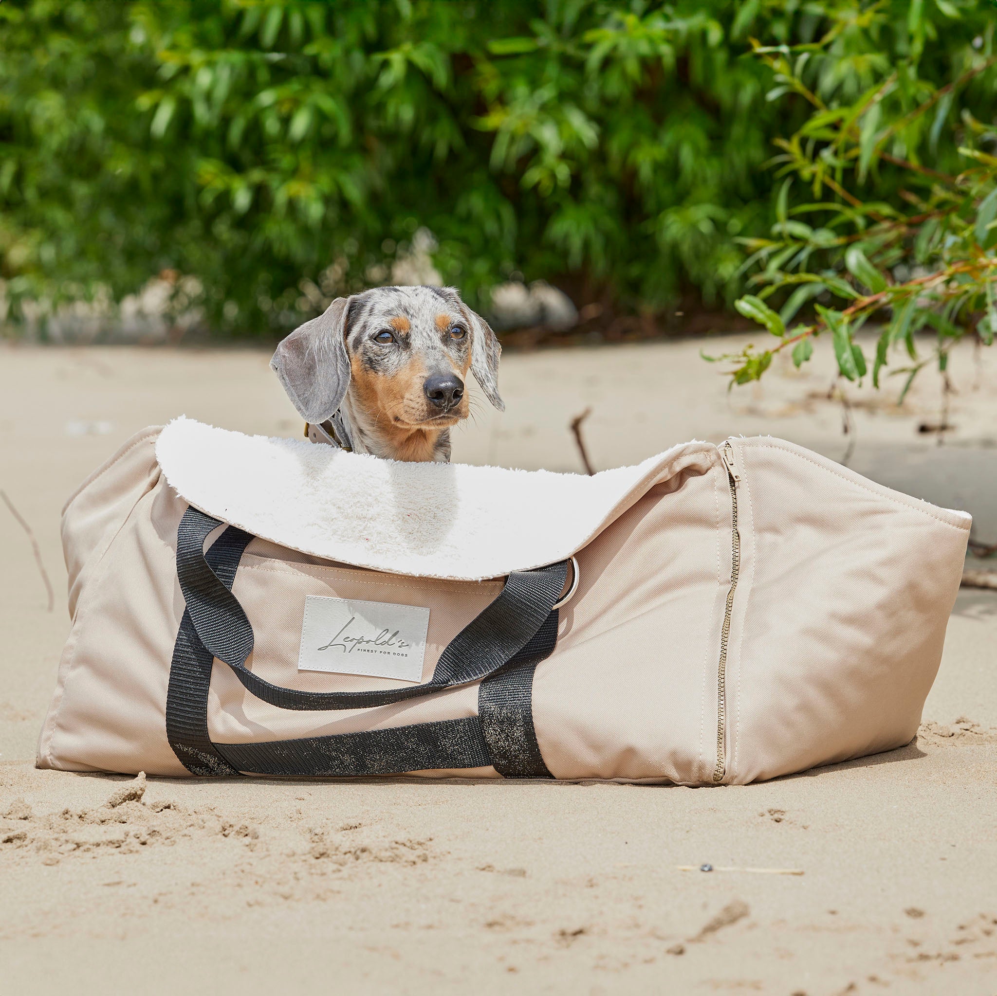 4 in 1 Travel Bag Allrounder – Hundetasche und Decke in einem [natur]