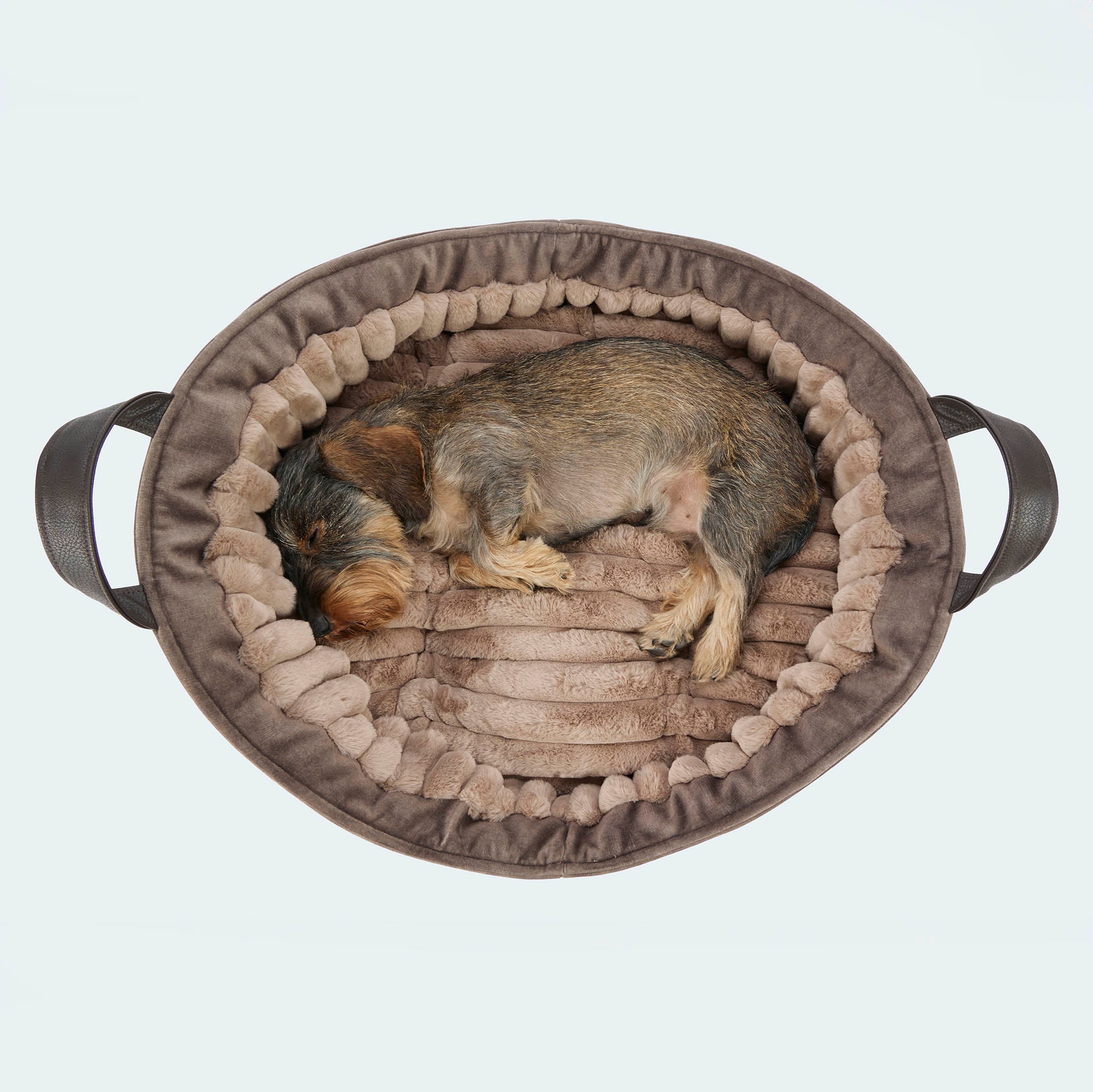 Cosy Dog Bed Deluxe - Hundebett für Dackel und kleine Hunde