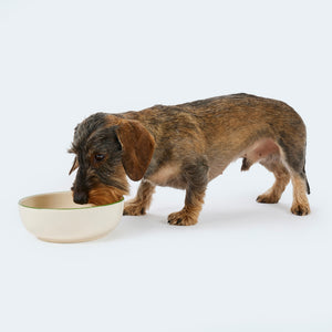 Gmundner x Leopold's Collection: Hand-painted ceramic bowl with dachshund motif