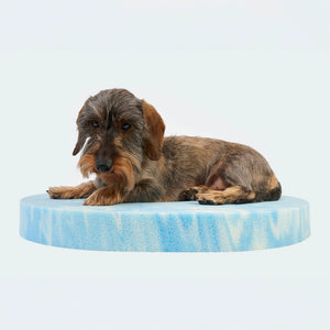 Orthopedic dog bed Curly