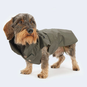 Rain and winter coat for dachshunds and small dogs