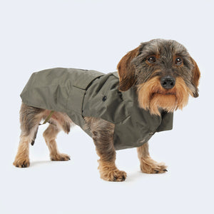 Rain and winter coat for dachshunds and small dogs