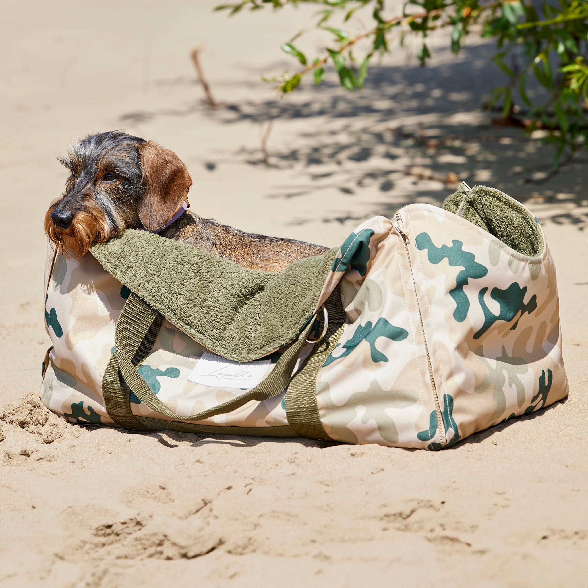 4 in 1 Travel Bag Allrounder – Hundetasche und Decke in einem [camouflage hell]
