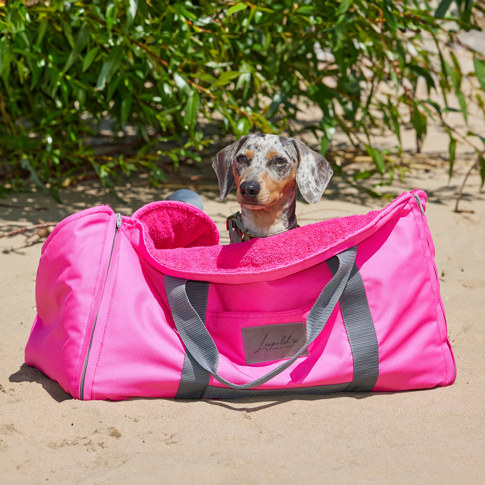 4 in 1 Travel Bag Allrounder – Hundetasche und Decke in einem [pink]