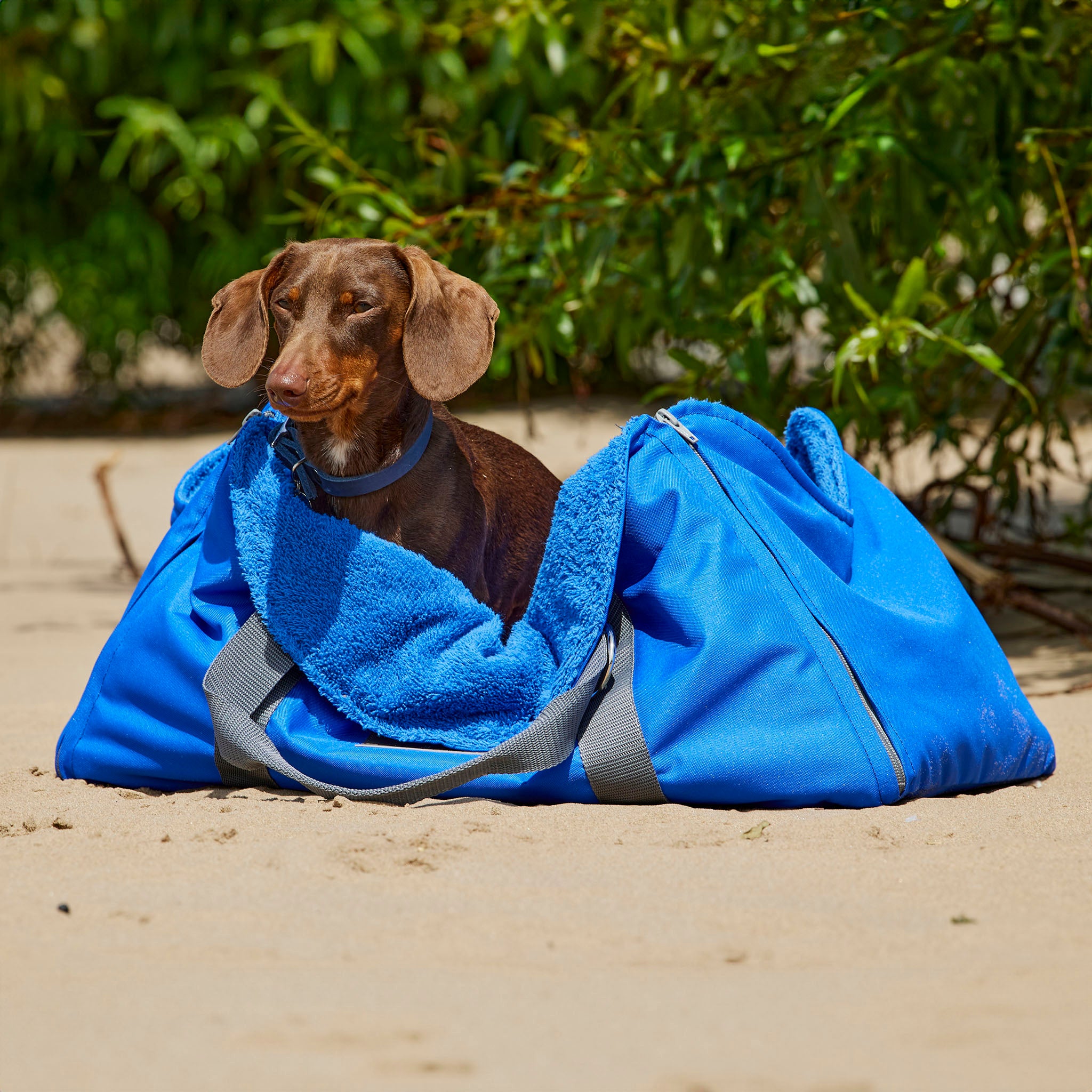 4 in 1 Travel Bag Allrounder – Hundetasche und Decke in einem [royal]